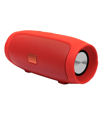 a portable speaker